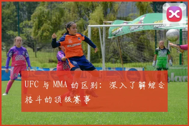 UFC 与 MMA 的区别：深入了解综合格斗的顶级赛事