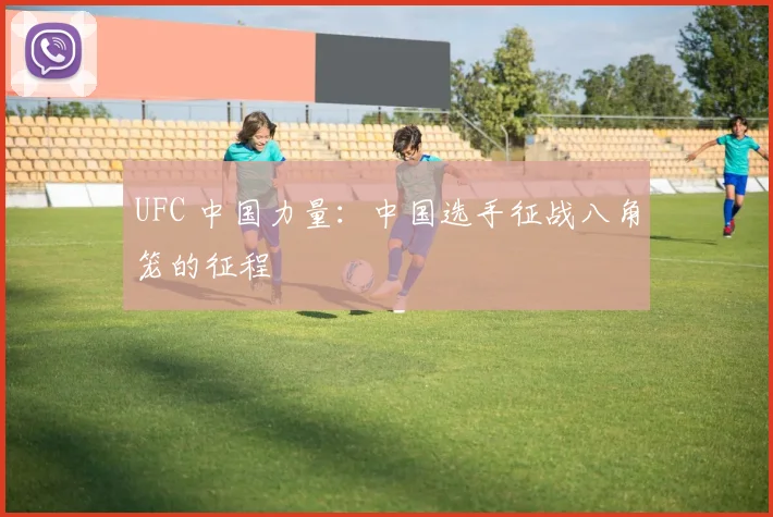 UFC 中国力量:中国选手征战八角笼的征程
