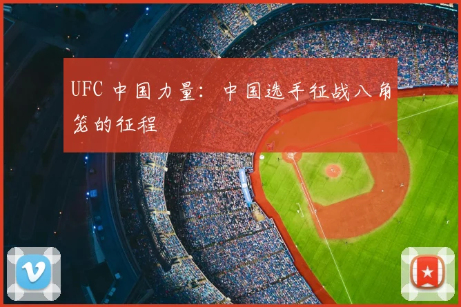 UFC 中国力量:中国选手征战八角笼的征程